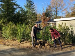 Vakantieparken in Putten planten tweehonderd bomen