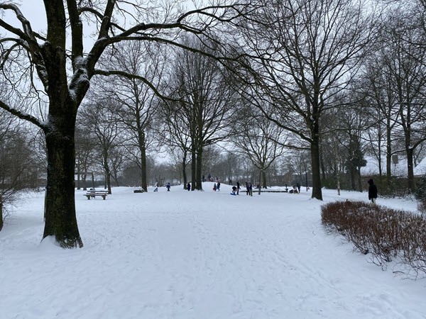 Sneeuwpret in De Groene Scheg 1