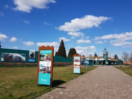 Dolfinarium wil moderne, educatieve dierentuin zijn