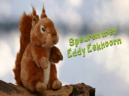 Speuren met de familie Eekhoorn