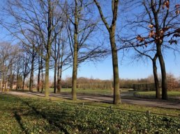 Wegwerkzaamheden Kiefveldersteeg en Waterweg