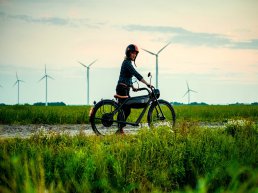 Decathlon zet vol in op lokale groene energie voor medewerkers