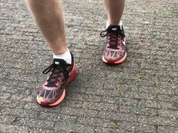 Veluwse TrailWalk van 15 en 23 kilometer