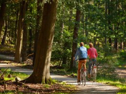 Geniet tijdens de Veluwse Fietsdagen van de omgeving