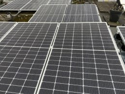 SGP: 'Geen zonneparken op landbouwgrond'