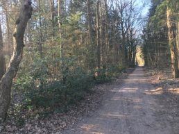 Hoe worden zandwegen onderhouden in Putten