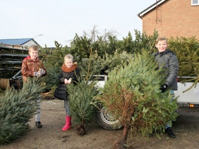 ​Aangepaste kerstbomeninzamelactie voor jongeren