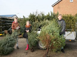 ​Aangepaste kerstbomeninzamelactie voor jongeren