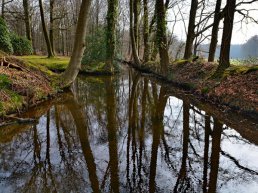 Wandelen langs de beek op landgoed Staverden