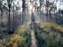Nieuw wandelevenement op de Veluwe