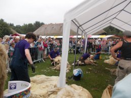 Schaapscheerdersfeest met wolplein, muziek en kinderplein