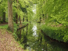 Wandelen langs de Staverdense Beek