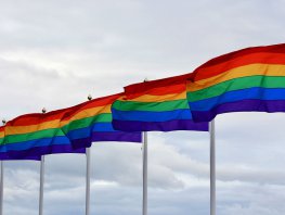 VVD verzoekt het college om de regenboogvlag te hijsen