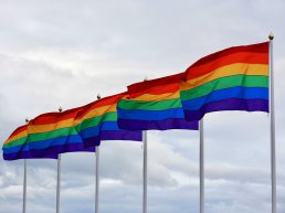 VVD verzoekt het college om de regenboogvlag te hijsen