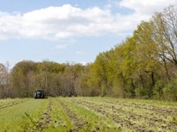 Gemeente Putten wil om tafel met lokale agrariërs