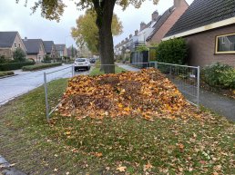 Gemeente haalt bladkorven weg