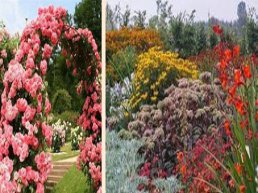 Tuinenreis Sleeswijk-Holsteijn