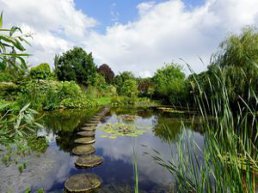 Tuinen kijken in de Betuwe