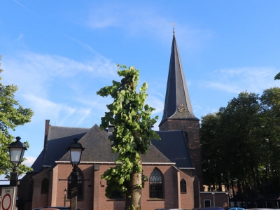 ​Orgelconcert door Minne Veldman in Oude Kerk 