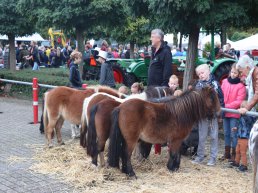 De Ossenmarkt komt er weer aan