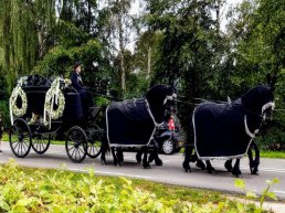 'Terug naar Bijstein'