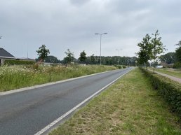 Raad van State doet uitspraak over bedrijventerrein Henslare
