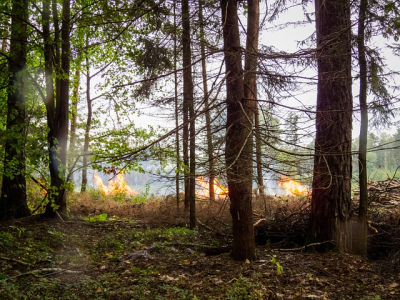 Fase 2 voor natuurbrandrisico in Noord- en Oost-Gelderland