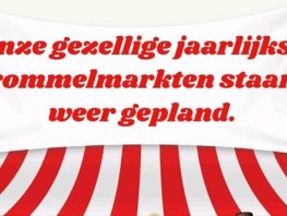 Gezellige rommelmarkt aan de Vervoornstraat