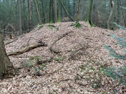 Wandel mee met de gids van Landgoed Schovenhorst
