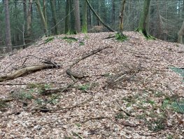 Wandel mee met de gids van Landgoed Schovenhorst