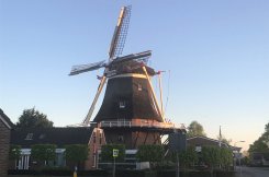 Feestelijke Molendag bij Molen ’t Hert