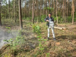 10.000 bomen en struiken voor sterker gemeentebos