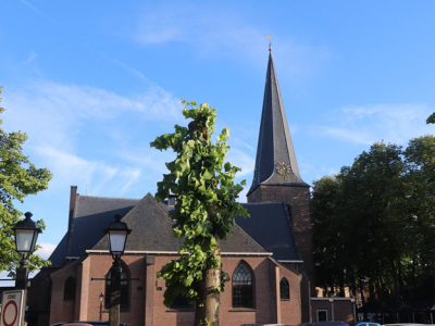 ​Menselijke resten ontdekt bij Oude Kerk: gemeente om opheldering gevraagd