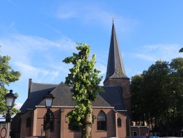 ​Menselijke resten ontdekt bij Oude Kerk: gemeente om opheldering gevraagd