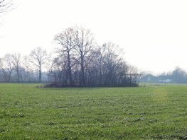 ​Stichting MOB zorgt voor onrust bij agrariërs, de ChristenUnie stelt vragen