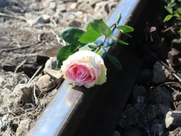​Gemeentebelangen stelt vragen over aanpak huiselijk geweld en femicide