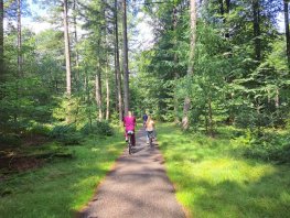 ​Beleef de Veluwe tijdens de Veluwse Fietsdagen
