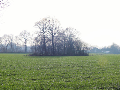 ​Boeren in Putten doen mee aan regionale innovaties