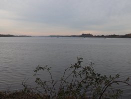 CDA Gelderland: Provincie moet meer doen voor schoon zwemwater