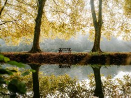 ​De herfst is een feit, dit is er te doen rondom Putten