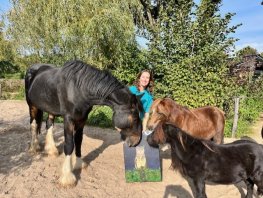 ​“Ik noem het hier een Paddock Paradise!”