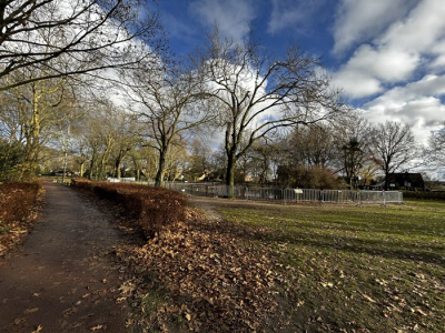 Gemeente toont eerste ontwerp voor vernieuwing De Groene Scheg