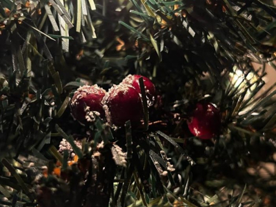 ​Kerstbomeninzamelactie voor Puttense jongeren