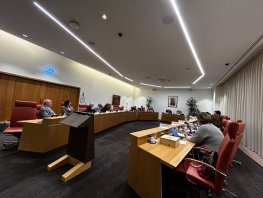 ​Raad stemt in met onderzoek naar centrale vuurwerkshow