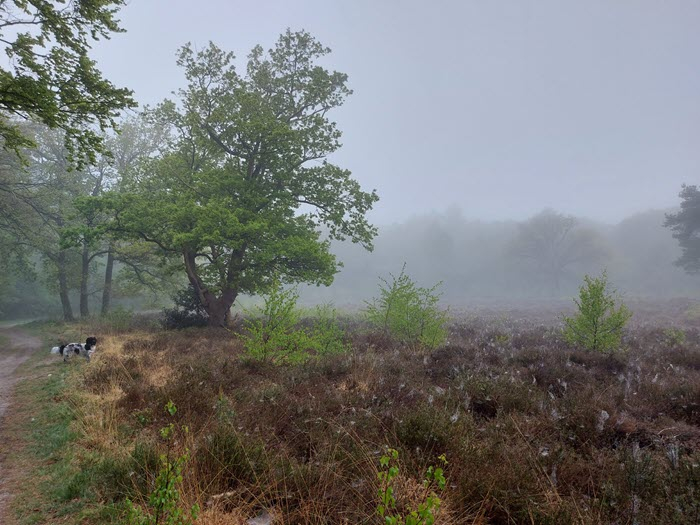 SGP Putten houdt fotowedstrijd om ‘Uniek Putten’ in beeld te brengen