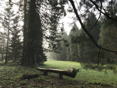​Cultuurhistorische wandeling over Landgoed Schovenhorst