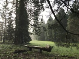 ​Cultuurhistorische wandeling over Landgoed Schovenhorst