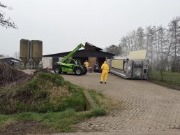 Vogelgriep vastgesteld in Putten, 23.000 kippen geruimd