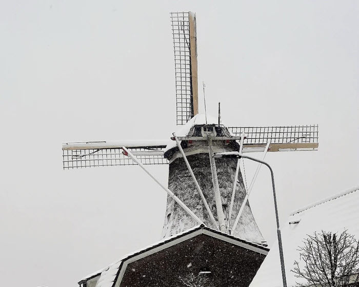Alissa Timmer wint fotowedstrijd SGP