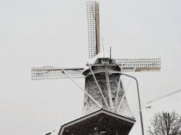 Alissa Timmer wint fotowedstrijd SGP